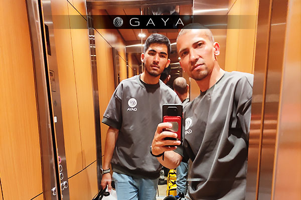 Sofa and armchair cleaning