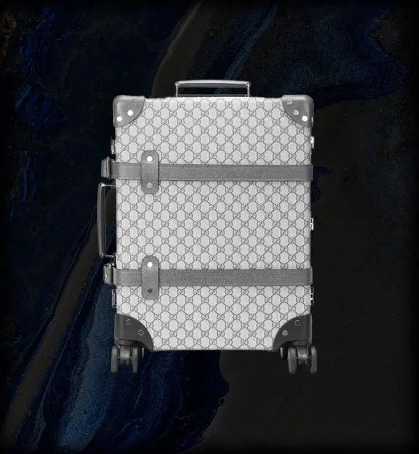 dry cleaning of suitcases, travel bags
